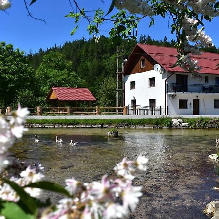 Maison d'hôtes Plitvice Panta Rei à Plitvička Jezera Extérieur photo