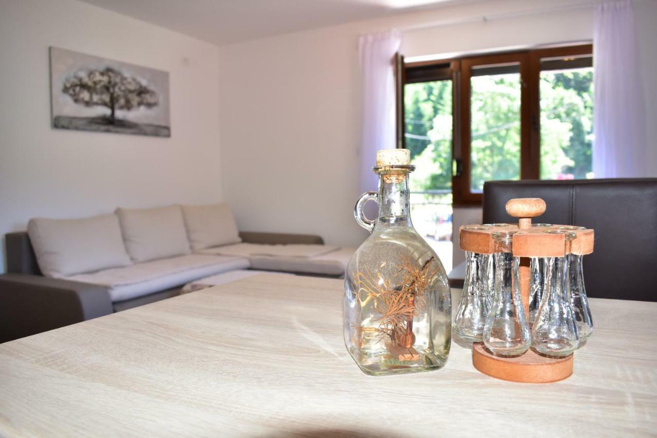 Maison d'hôtes Plitvice Panta Rei à Plitvička Jezera Extérieur photo