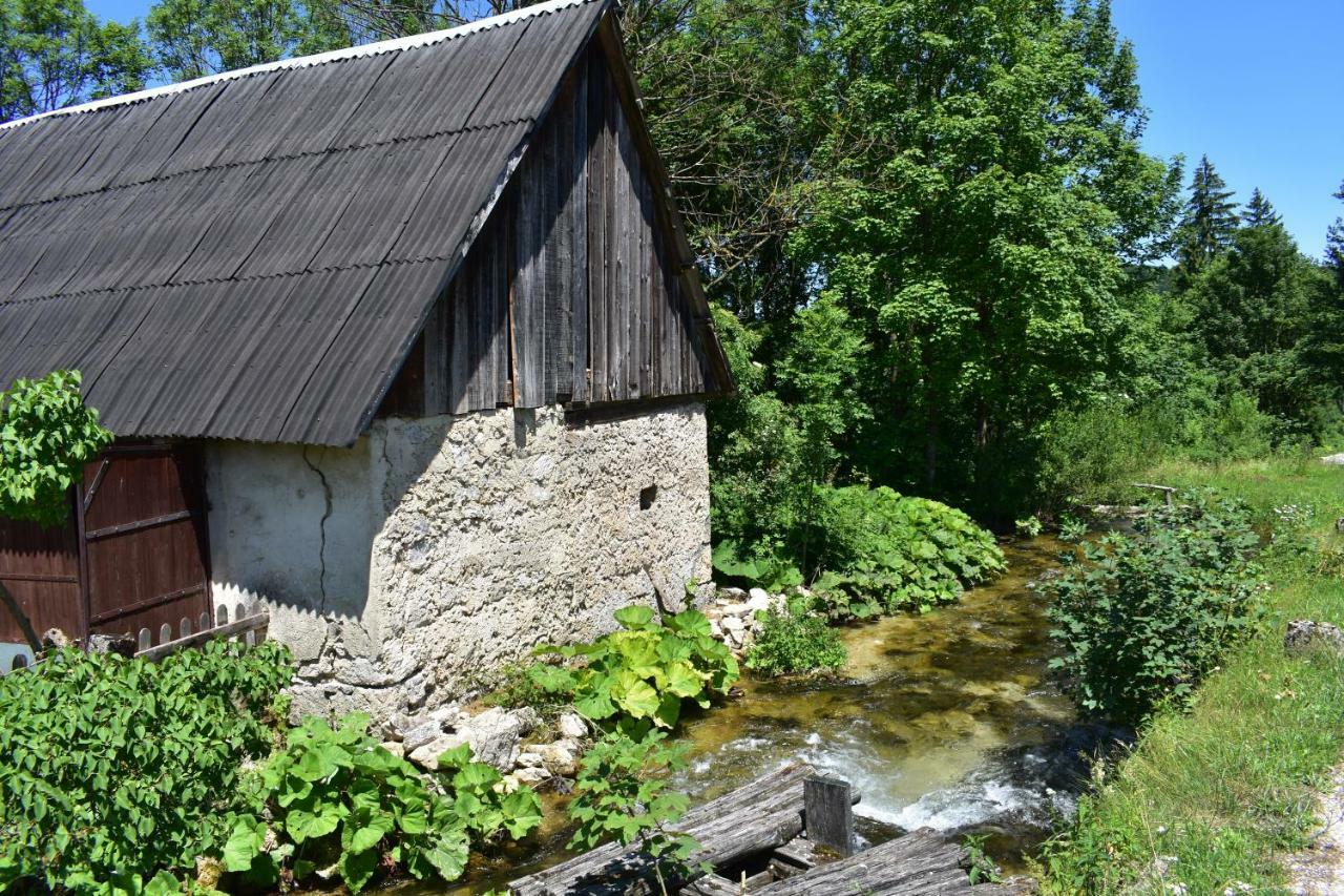 Maison d'hôtes Plitvice Panta Rei à Plitvička Jezera Extérieur photo